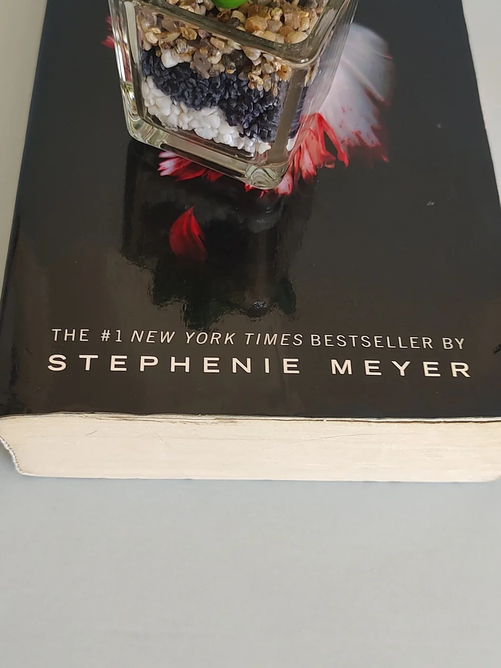 The Twilight Saga New Moon by Stephenie Meyer 2008 Trade Paperback) Good Cond.